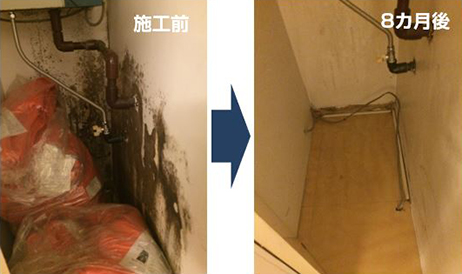 除菌防カビ効果 施工事例