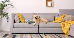 ペットとお部屋